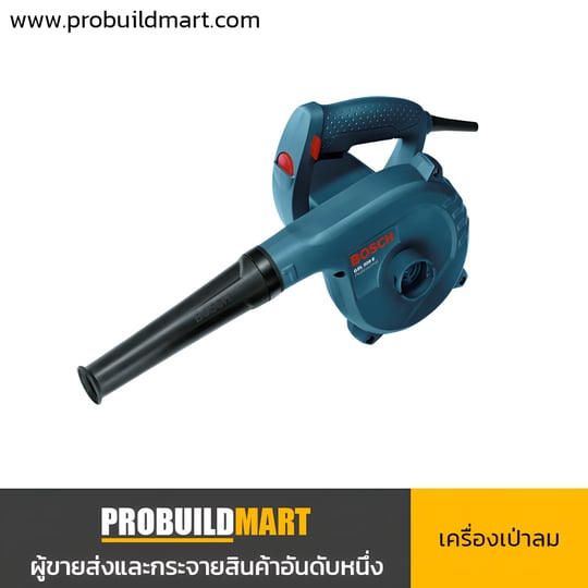 อุปกรณ์เป่าลม