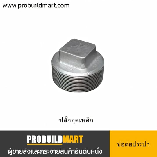 ปลั๊กอุดเหล็ก เกลียวนอกประปา ชุบสังกะสี